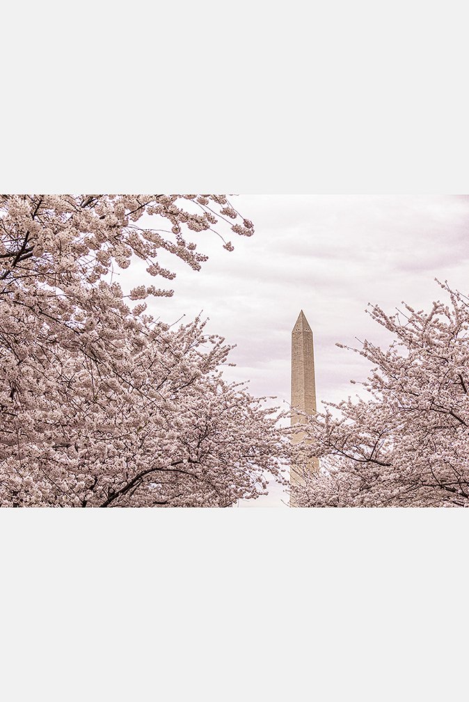 5f16663f0430f_Washington Monument.jpg